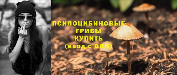 спиды Алексин