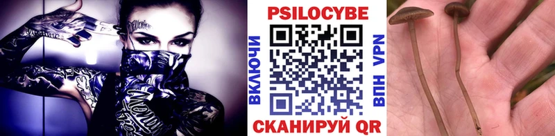 Галлюциногенные грибы мицелий  где купить наркотик  Каменск-Уральский 